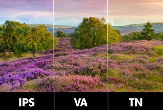 TN-vs-IPS-vs-VA-Panels-Display